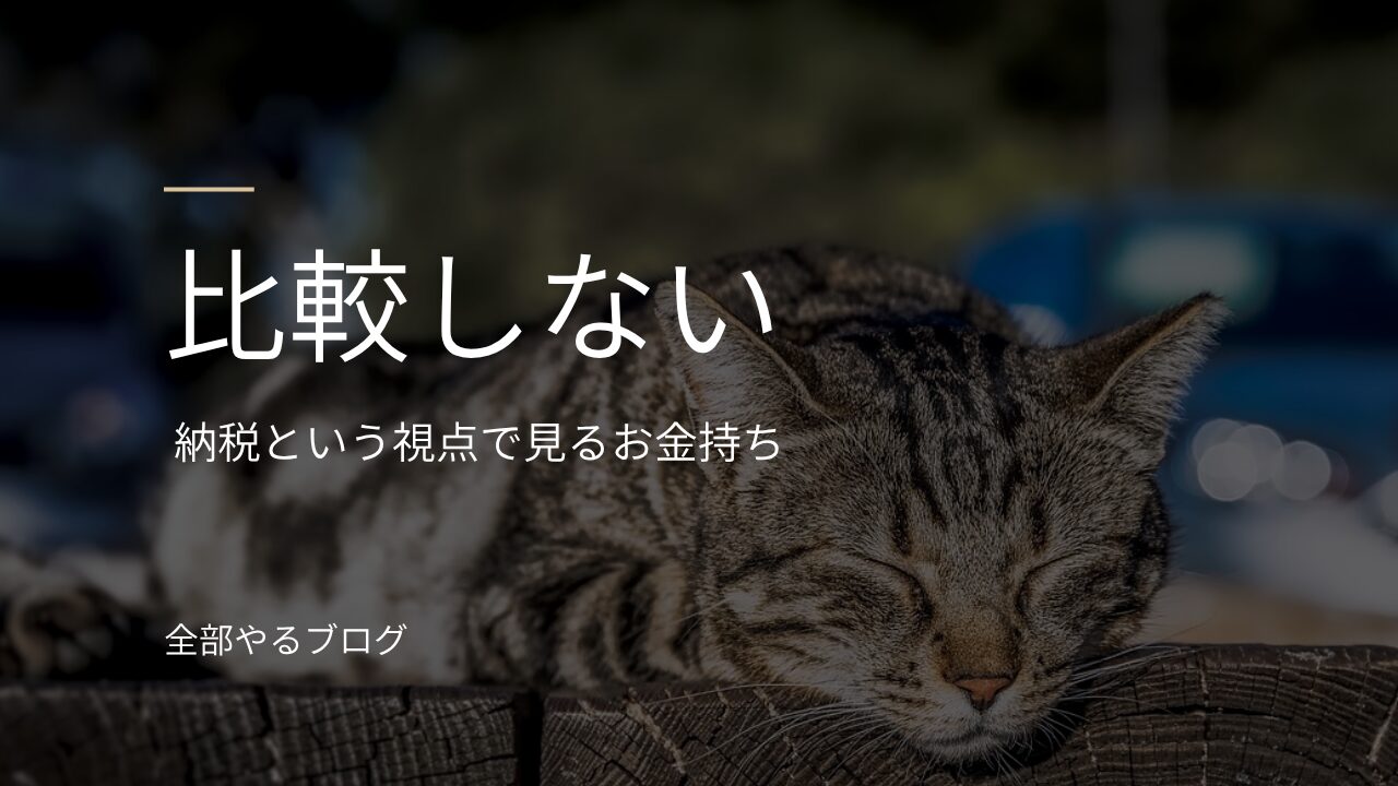 日向で寝ている猫